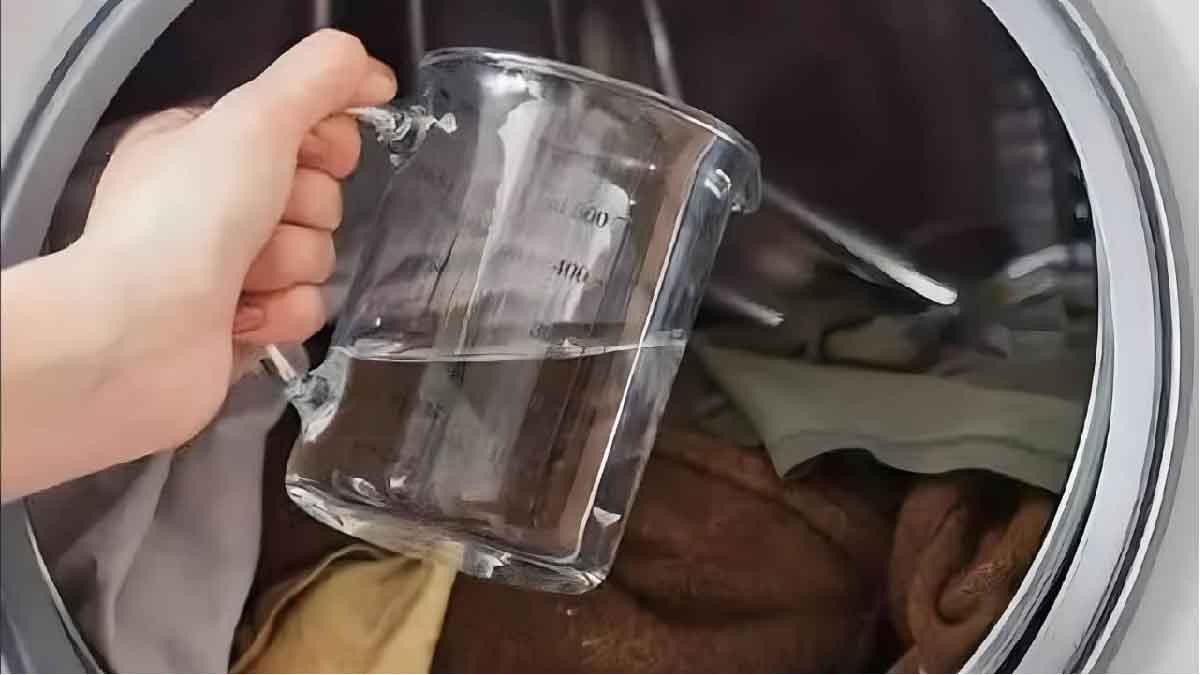 Medio vaso de este ingrediente es todo lo que necesitas para tener la ropa limpia y perfumada.