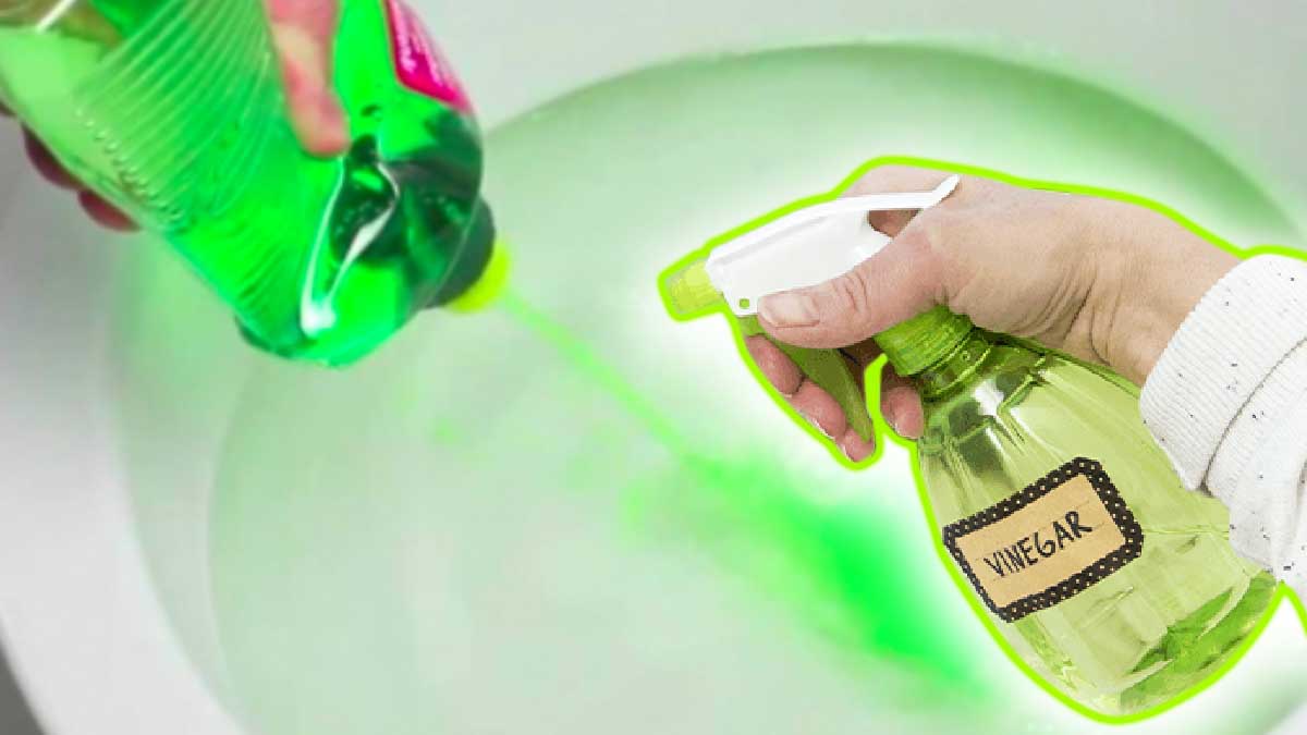 ¿Por qué mezclar detergente líquido con vinagre? ¡Tendrás una solución eficaz para acabar con este problema!