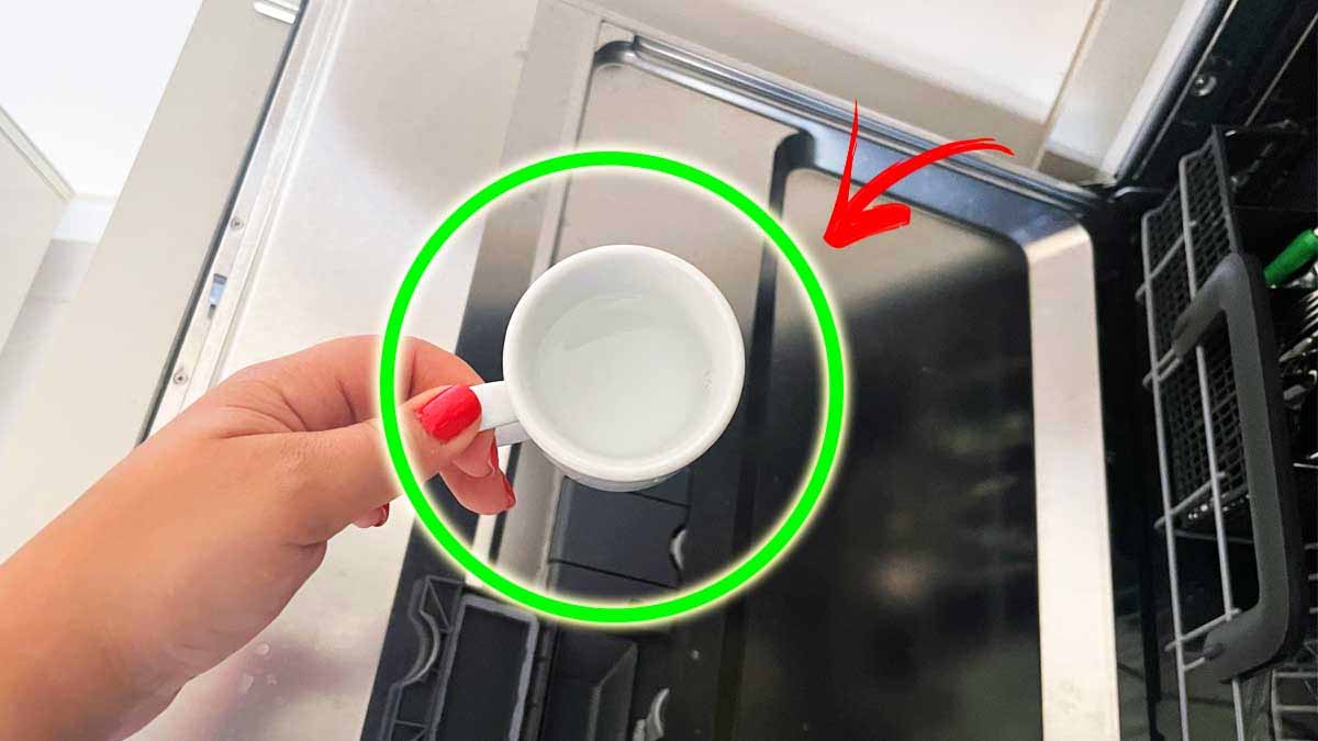 Una sola taza de este remedio natural es más que suficiente para limpiar y perfumar el lavavajillas.