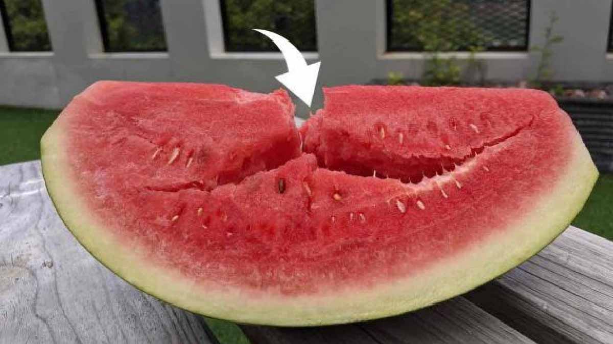 Grieta en el centro de una sandía: ¿qué significa exactamente? He aquí la revelación de los agricultores.