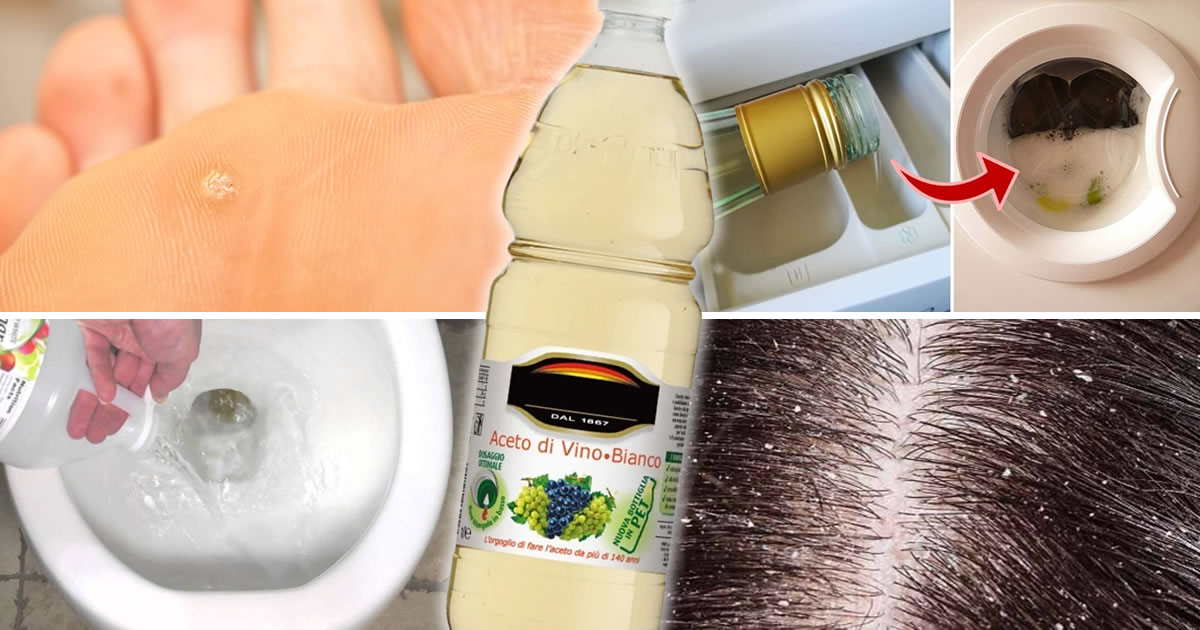 11 usos extraños y muy útiles del vinagre que no conocías y que te dejarán sin palabras: un producto versátil y poderoso