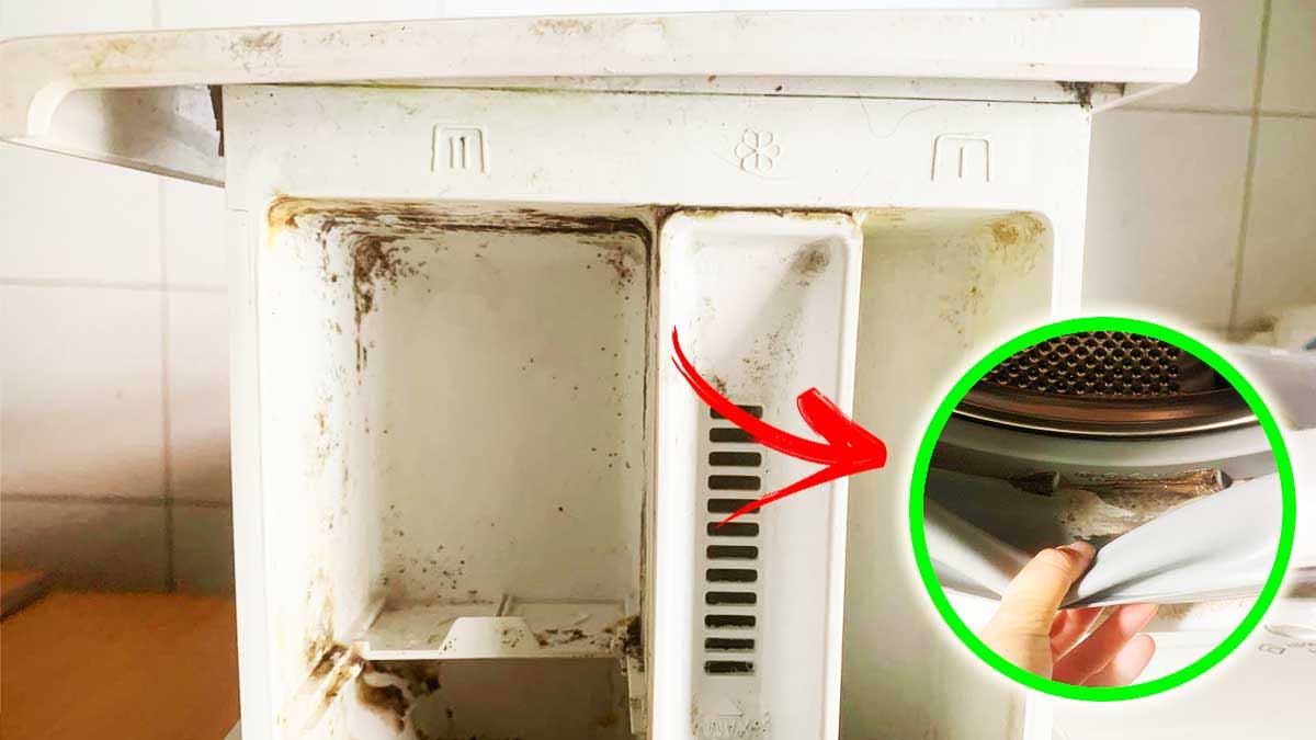 2 trucos infalibles para eliminar el moho de la lavadora