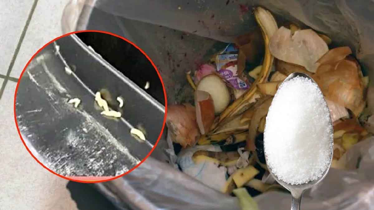 ¡Se acabaron los gusanos en la basura! ¡Todo lo que necesitas es una cucharada de ese ingrediente que tanto te gusta!