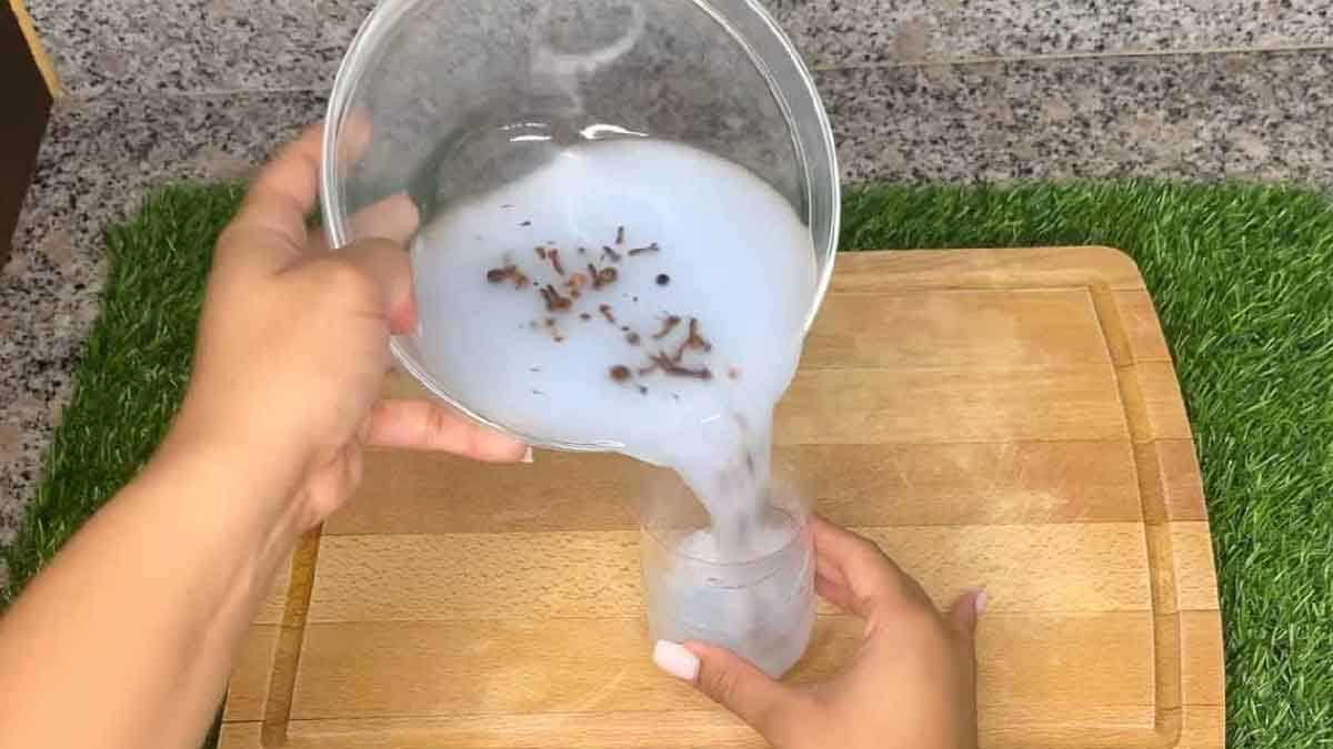 Con este repelente de mosquitos DIY, no te picarán los mosquitos y tu casa olerá de maravilla.