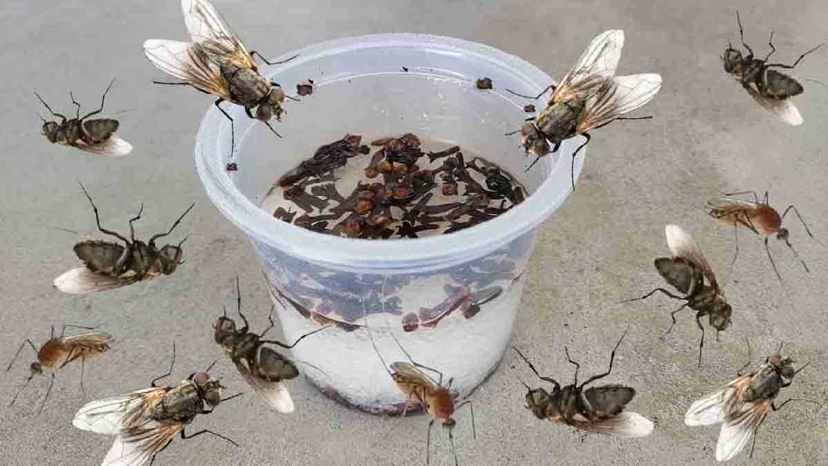 Este repelente hace desaparecer moscas, mosquitos y cucarachas en menos de 10 minutos.