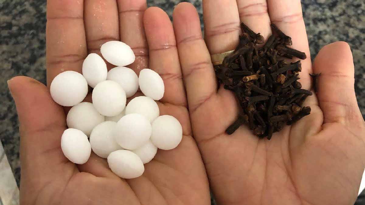 Clavo y naftalina: ¡una combinación sorprendente que hay que probar enseguida!