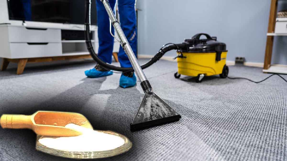 ¿Cómo puede limpiar a fondo sus alfombras y eliminar todo rastro de polvo?