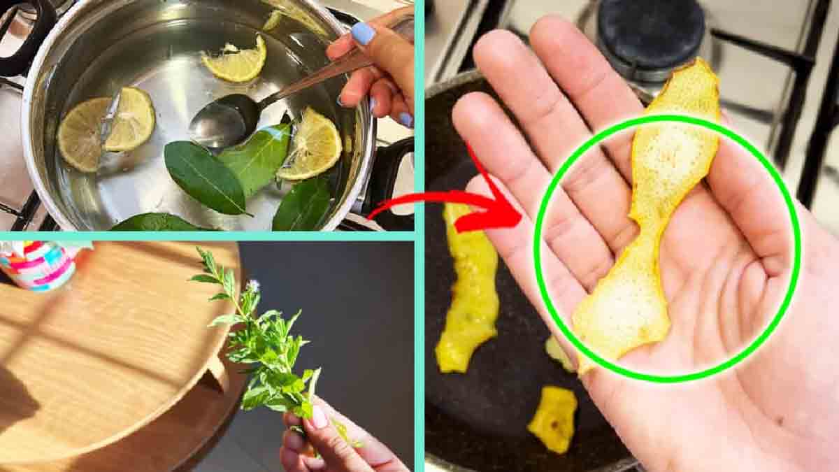 ¿Cómo puede mantener fresca su casa incluso en septiembre?