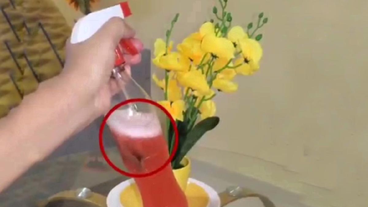 ¡Despídete de las cucarachas en tu hogar preparando este insecticida con aromas naturales!