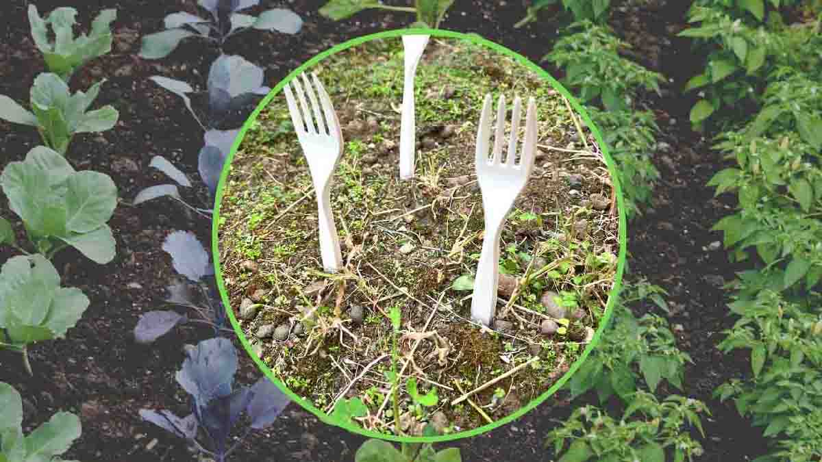 Horquillas de plástico en el jardín: todos los jardineros se apuntan al carro y la razón es brillante