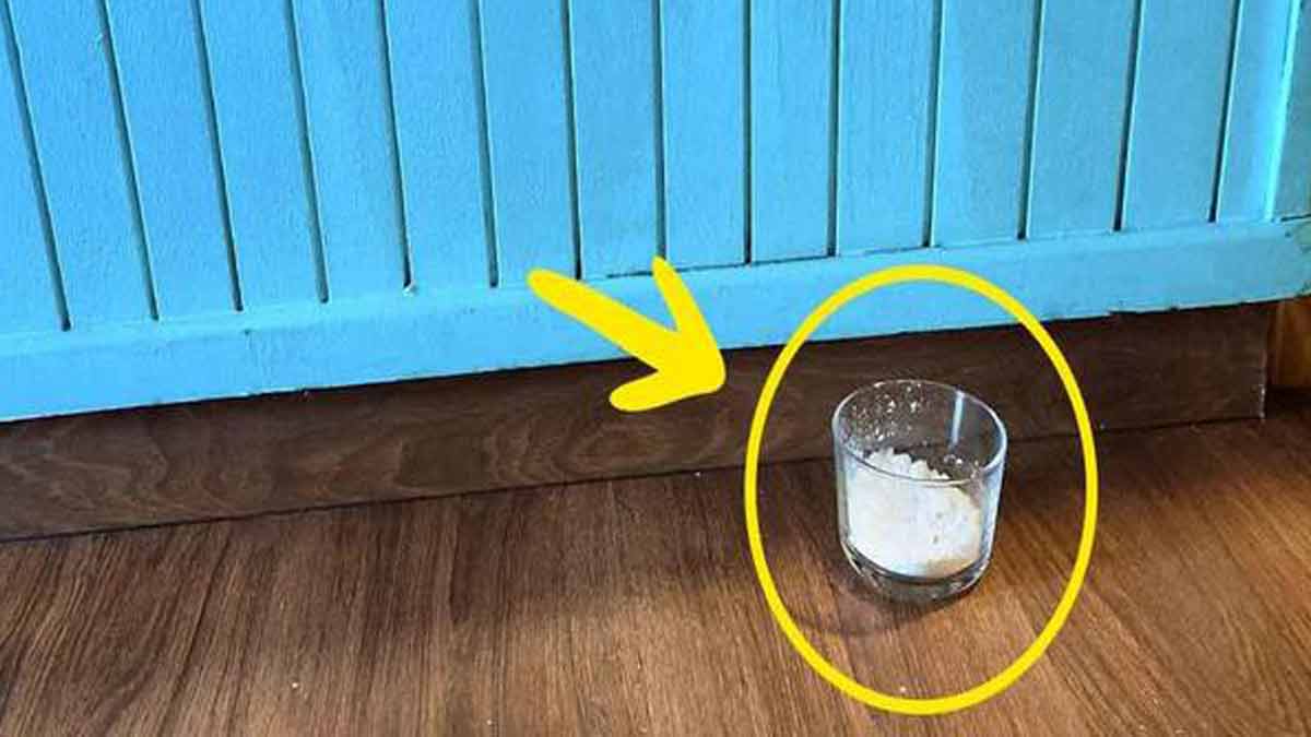 1 vaso de sal basta para resolver los 8 mayores problemas de la casa