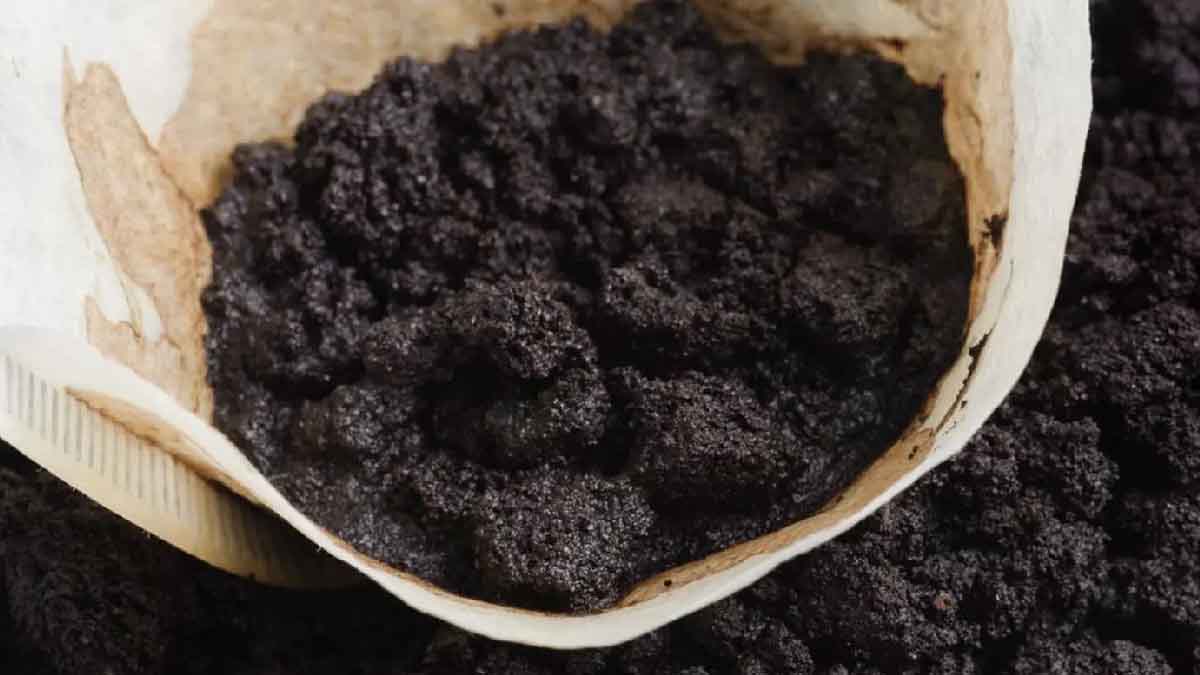 Pon unos posos de café en tu frigorífico y la magia se producirá en un instante.