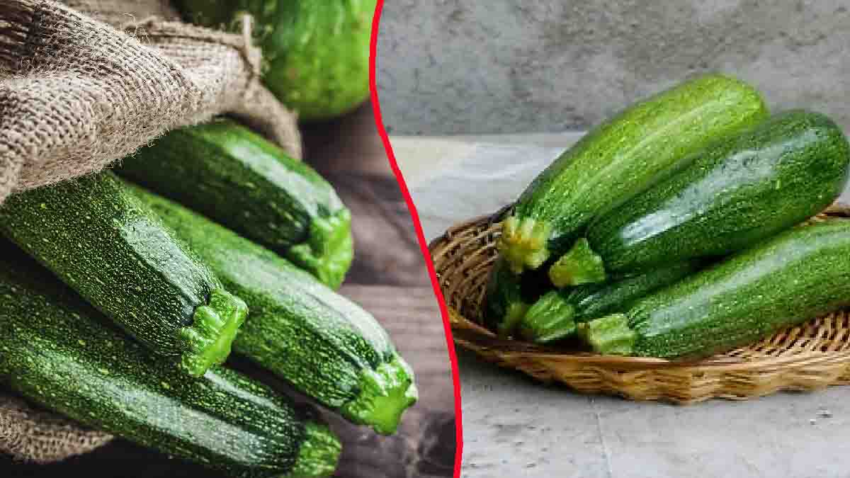 ¿Dónde deben guardarse los calabacines para conservar su sabor y textura?
