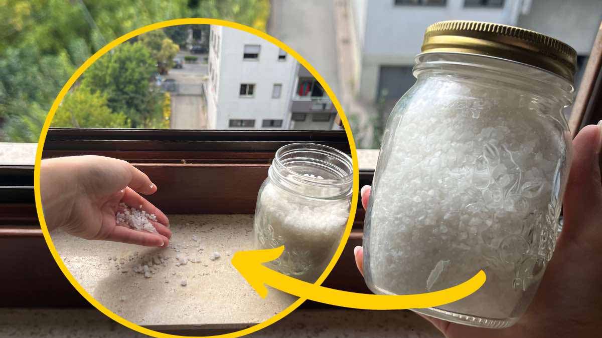 ¿Por qué todo el mundo echa sal gorda en el alféizar de la ventana? ¡La razón es impensable!