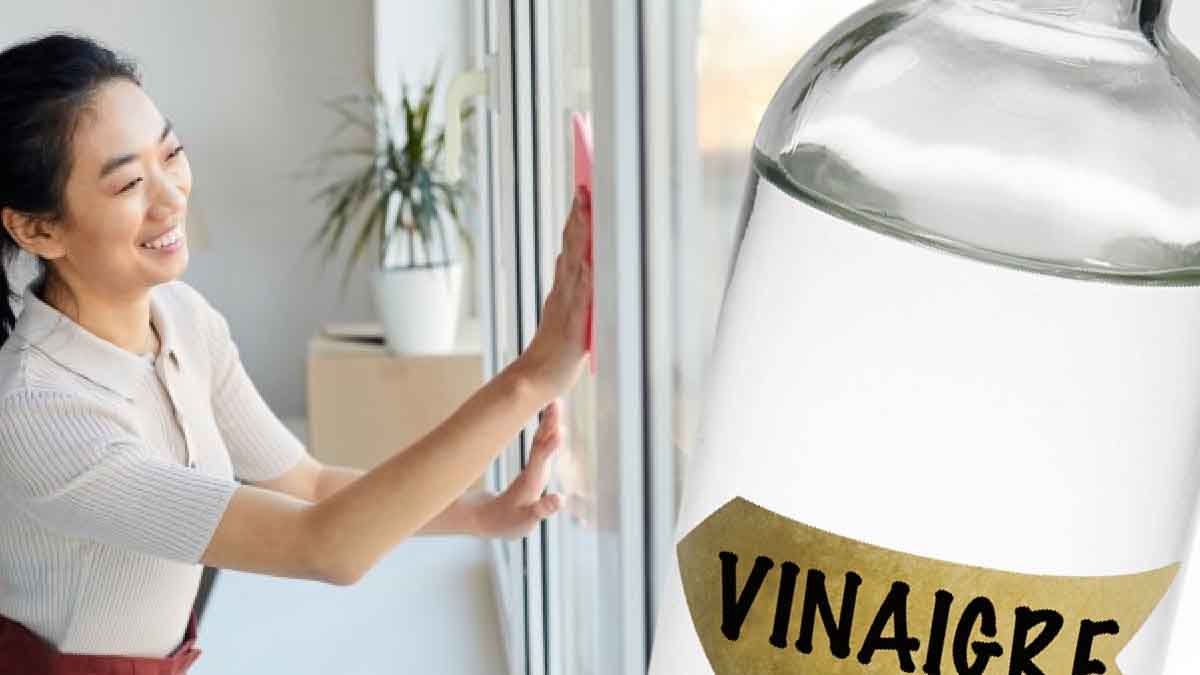 ¿Por qué deberías limpiar tus ventanas con vinagre este mes de noviembre?