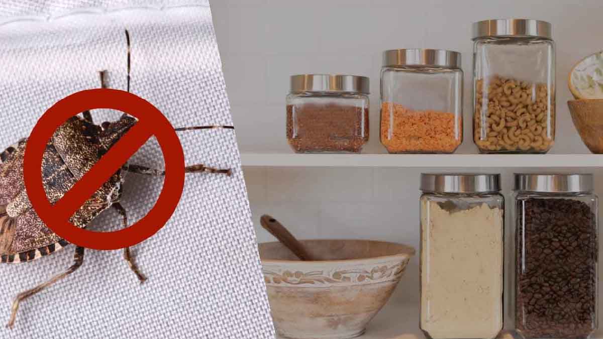 Bichos verdes en casa: ¡este ingrediente de tu cocina puede deshacerse de ellos en 2 segundos!