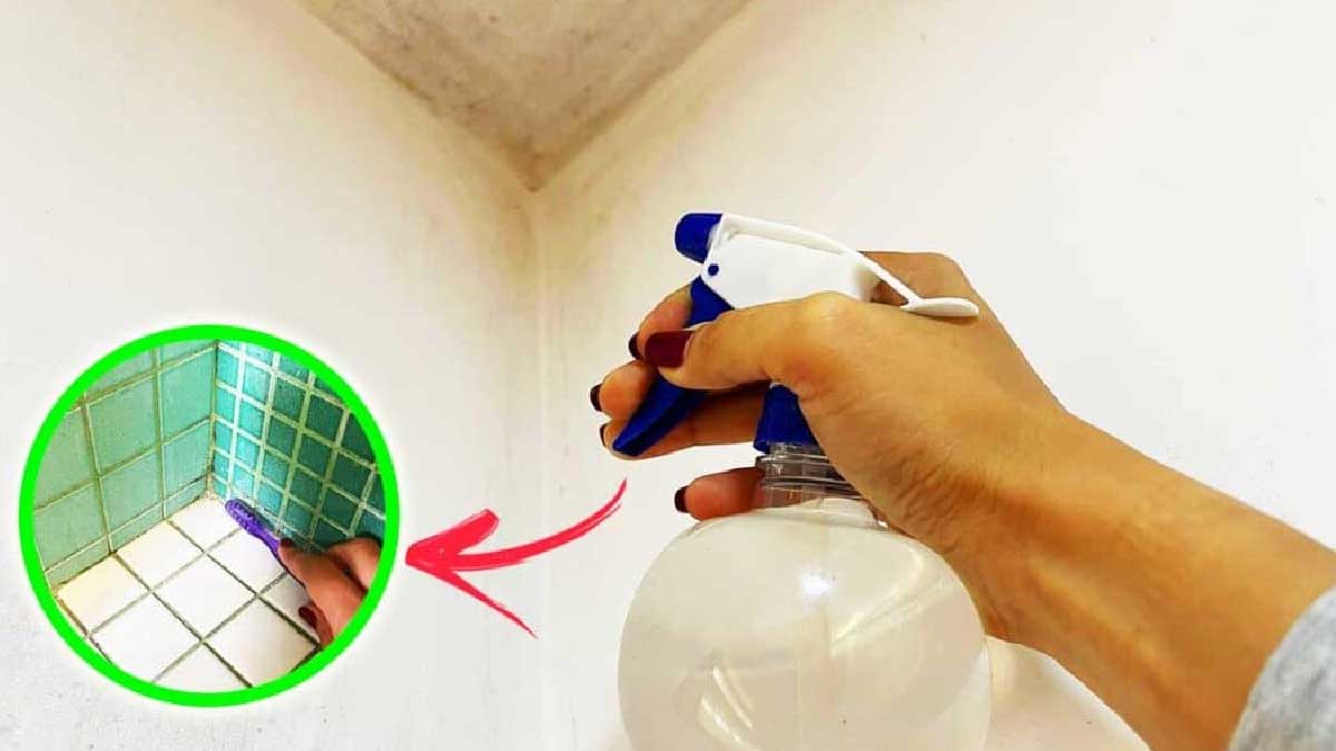 Si encuentras moho en estos rincones de la casa, ¡aquí te explicamos cómo eliminarlo!
