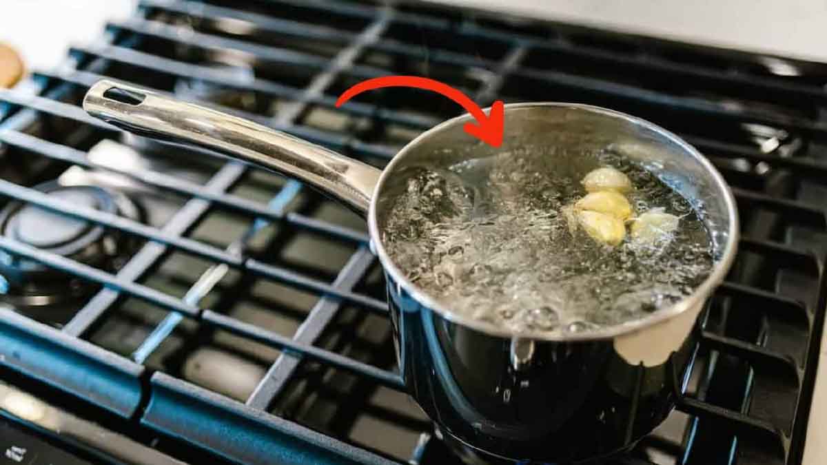 Utiliza el método de la maceta para deshacerte de las hormigas de tu casa y jardín ¡para siempre!