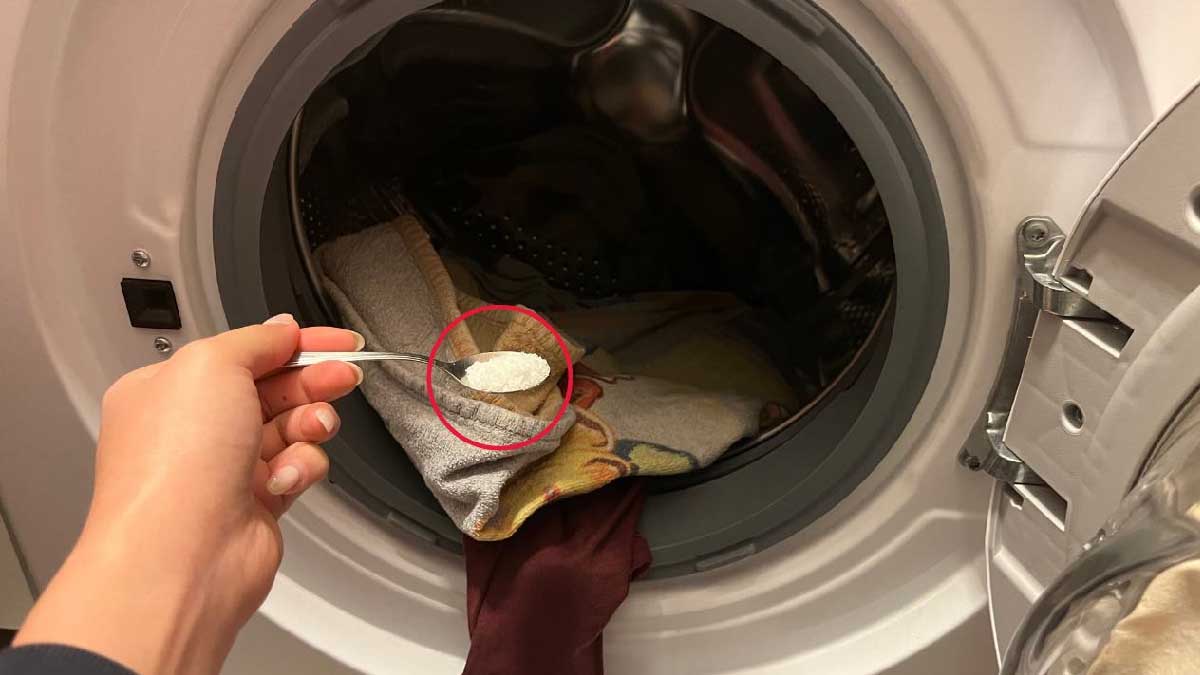 ¿Huele a moho en la lavadora? Este ingrediente único puede eliminarlo para siempre.
