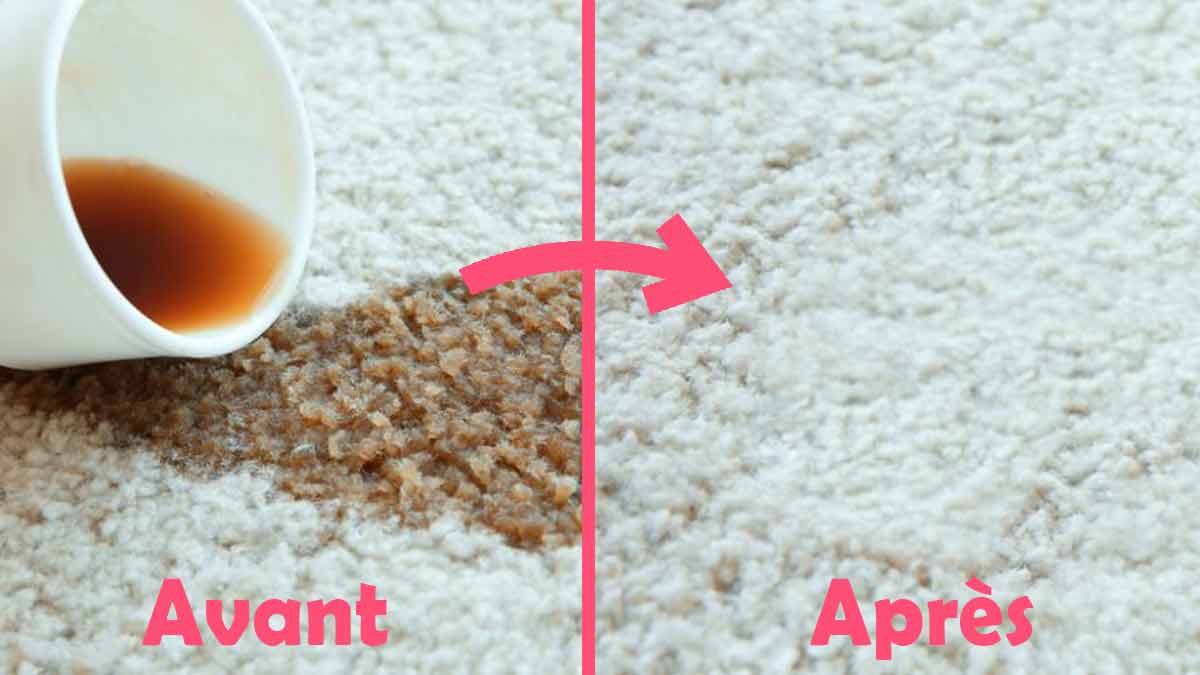 ¡5 fantásticos trucos para eliminar las manchas de café sin cansarte!