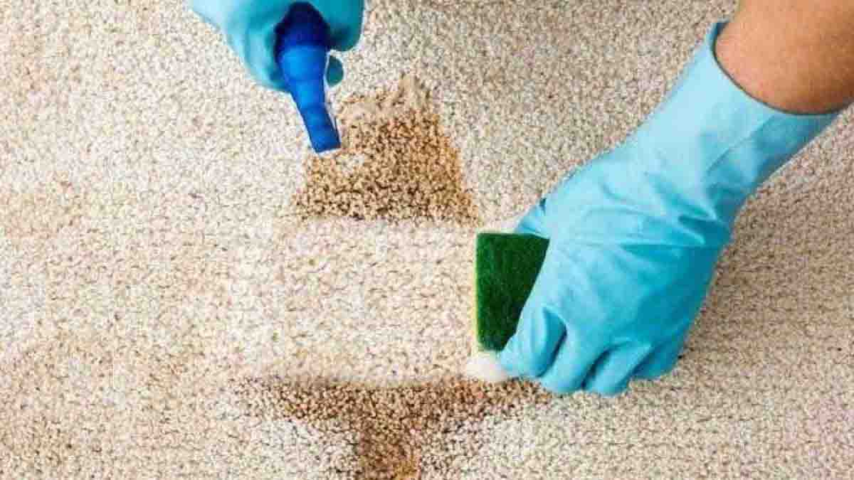¡Elimine las manchas de la alfombra con este ingrediente por menos de 1 euro!