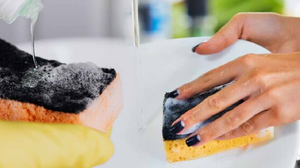 ¿Cómo se reciclan las esponjas de fregar? Tirarlas a la basura es un gran error.