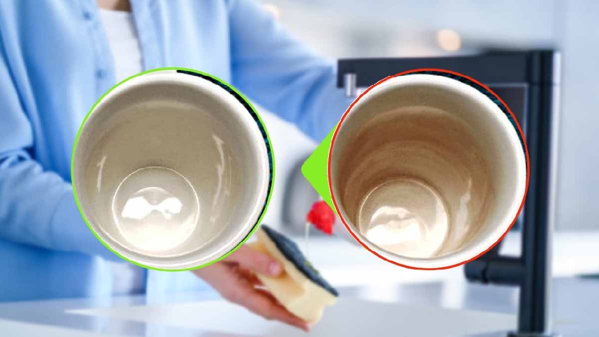 ¿Has oído hablar de este blanqueador natural que elimina las manchas de café de las tazas?