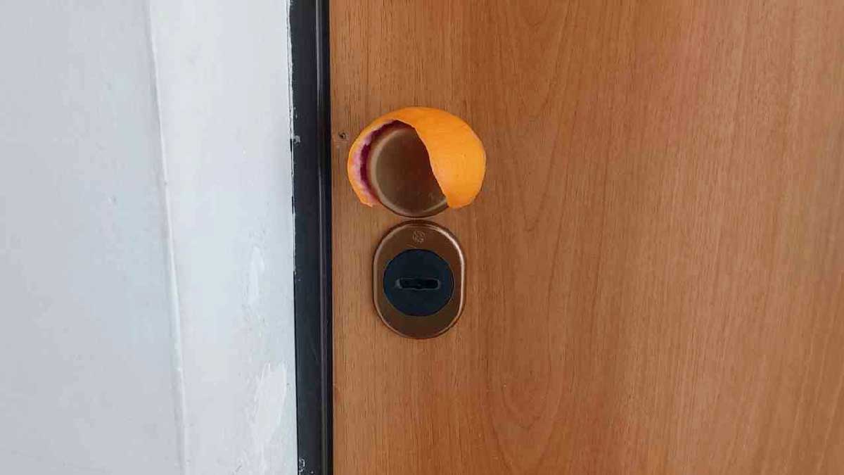 Cáscaras de naranja en la manilla de la puerta: ¡un truco que pone fin a esta molestia tan común en el hogar!