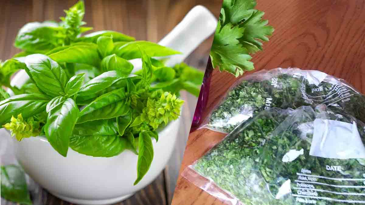 Consejos esenciales para mantener frescas la albahaca, el perejil y la menta.