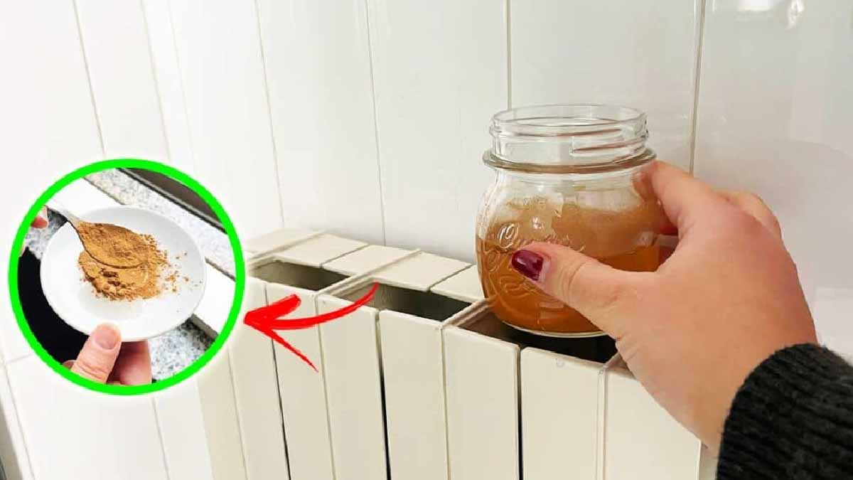 Olvídate Del Sobrecalentamiento: Limpia Tu Radiador En 5 Sencillos Pasos. - gv9icyq
