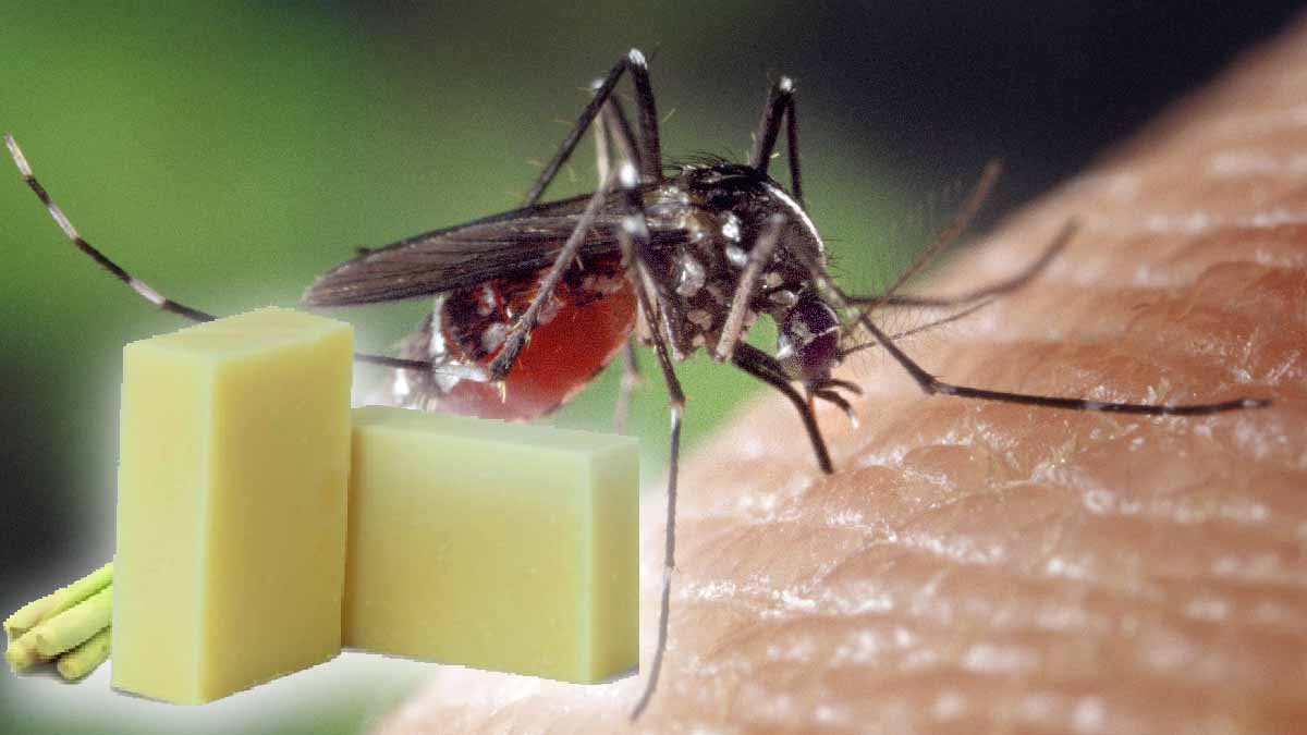 ¡Deshazte de los mosquitos con este jabón milagroso! Forma una barrera protectora para repelerlos