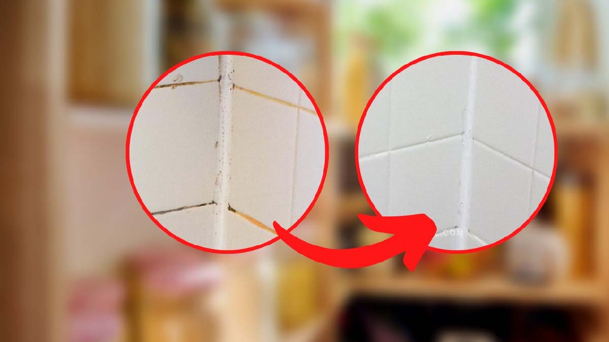 ¿Juntas negras entre los azulejos del baño? ¡Sólo necesitas 2 ingredientes milagrosos!