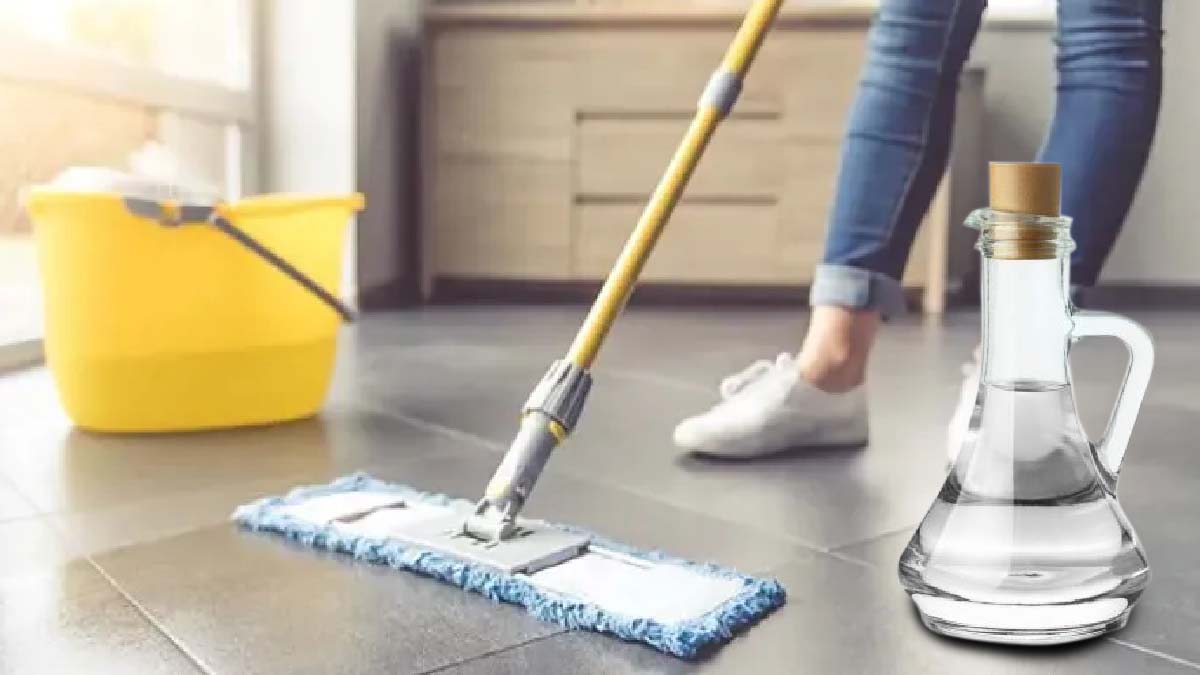 ¡La solución de limpieza exprés para eliminar el polvo!