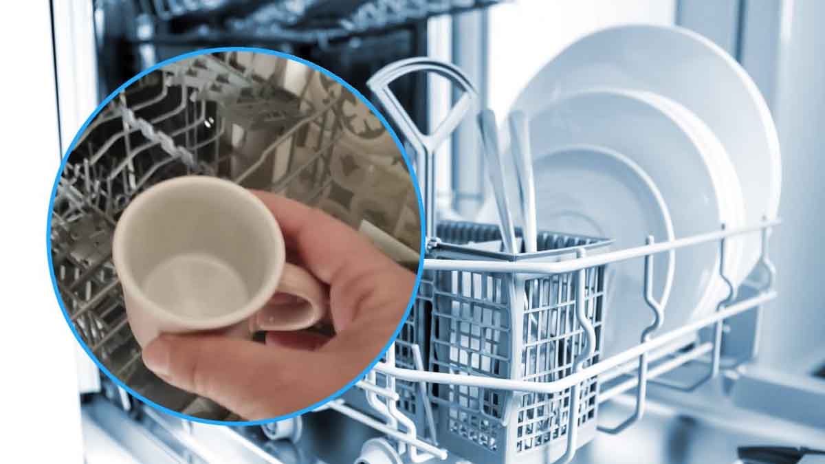 Lavavajillas: vierta 1 taza de este producto antes de poner en marcha la máquina para ahorrar mucho dinero.