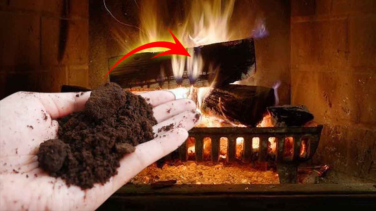 Los posos del café son tu mejor aliado para combatir el frío este invierno.