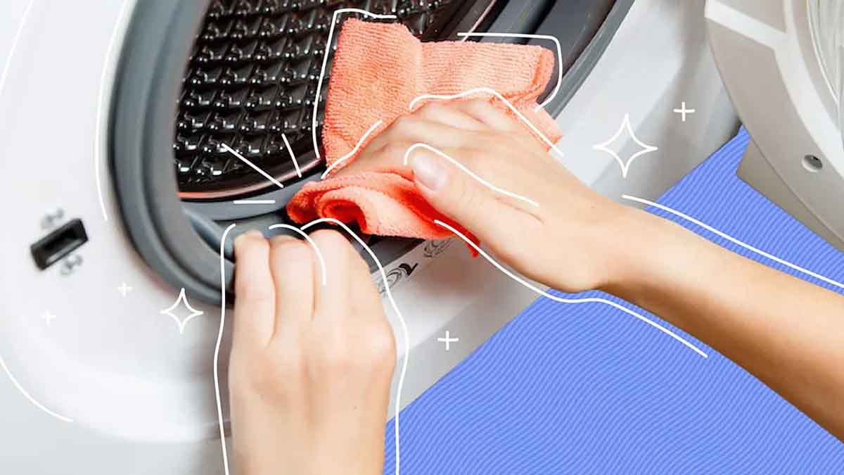 Lavadora: 5 formas temibles de combatir el moho