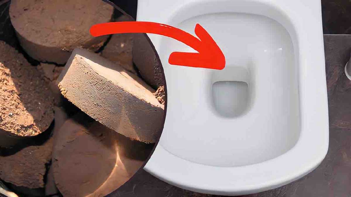 Posos de café: tíralos por el retrete, no tienes ni idea de lo que pasa