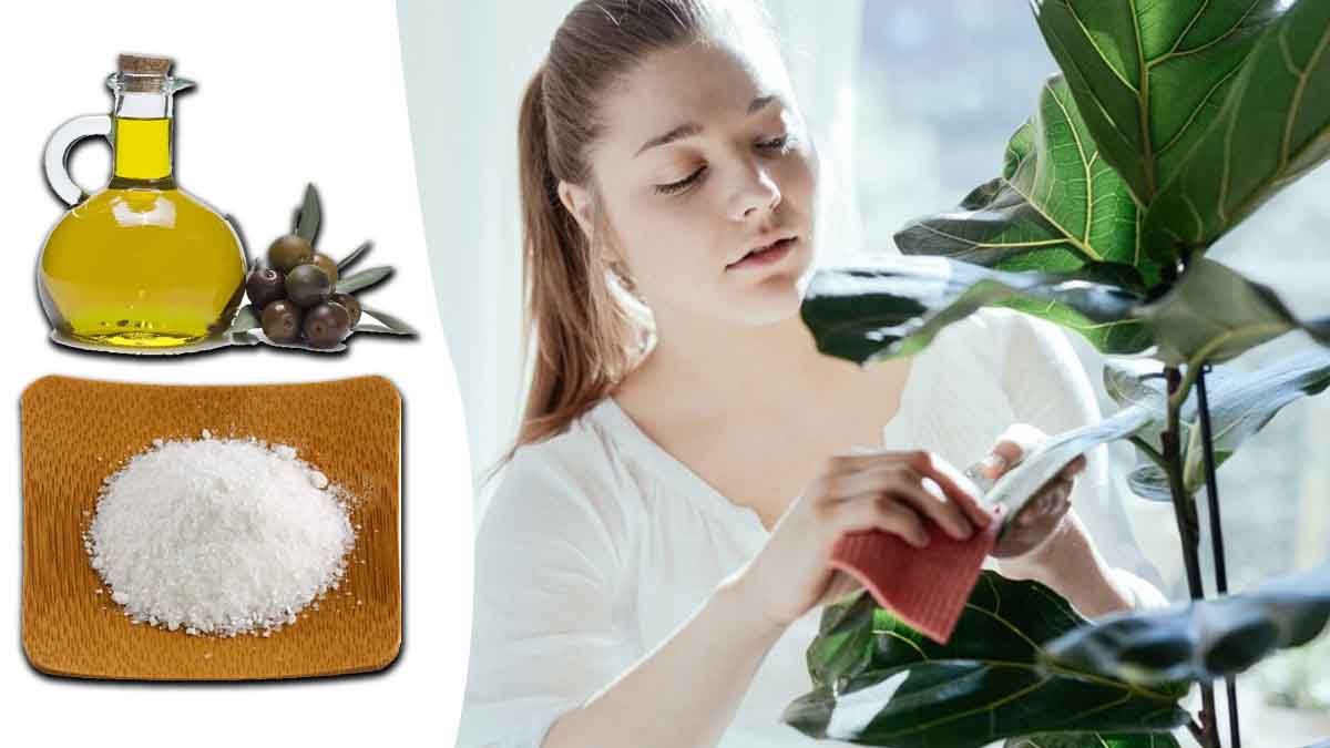 Mezcle el aceite de oliva con el bicarbonato de sodio y ¡vea lo que sucede! Un milagro, ¡simplemente asombroso!