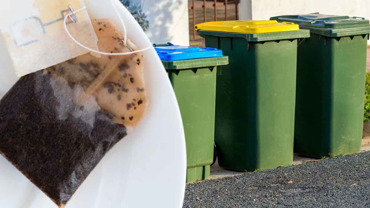 Echa las bolsitas de té usadas en el retrete y ¡mira lo que pasa!