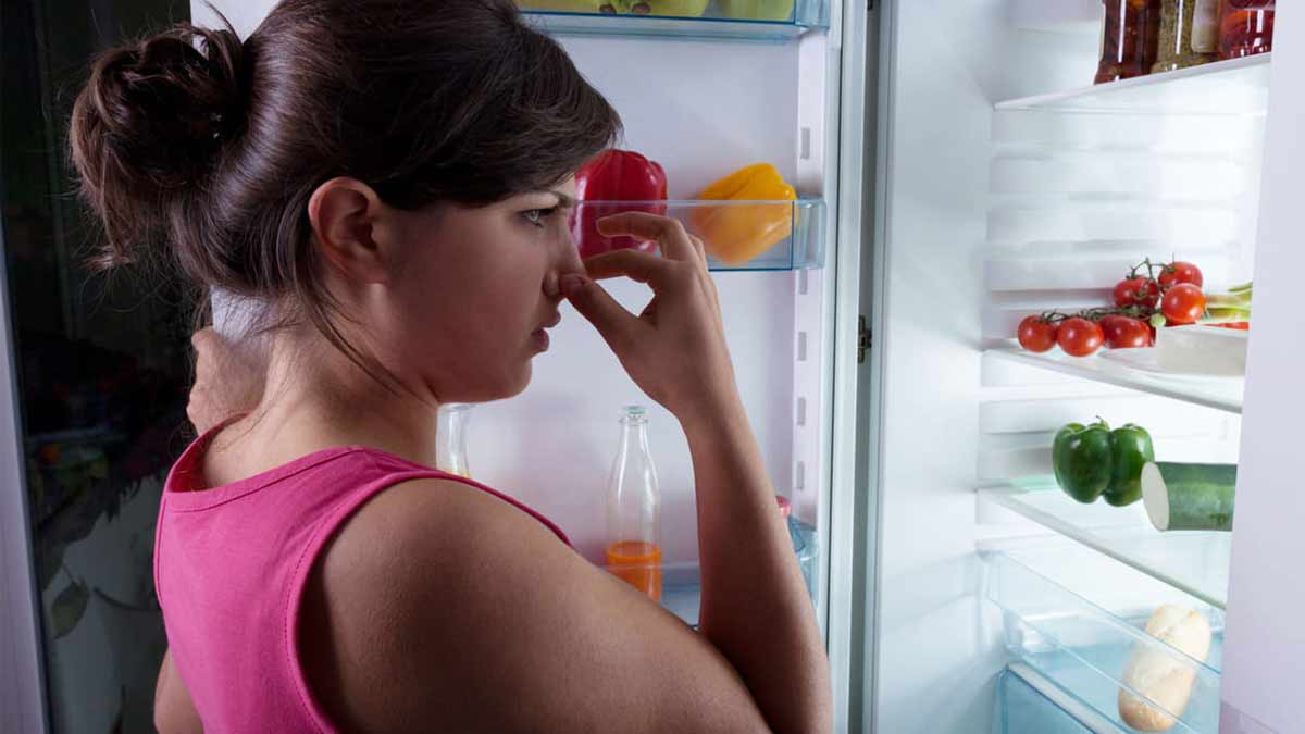 Nuestros mejores consejos para eliminar los malos olores del frigorífico.