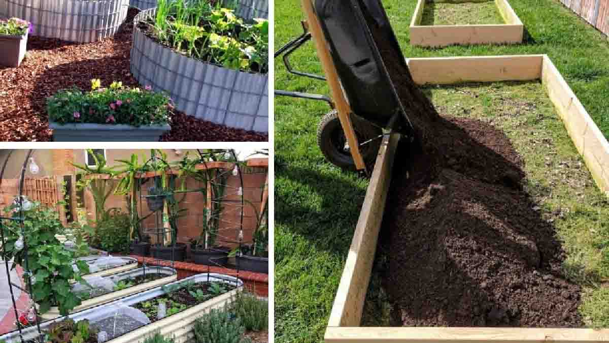 Huertos elevados: ¡una nueva tendencia en jardinería!