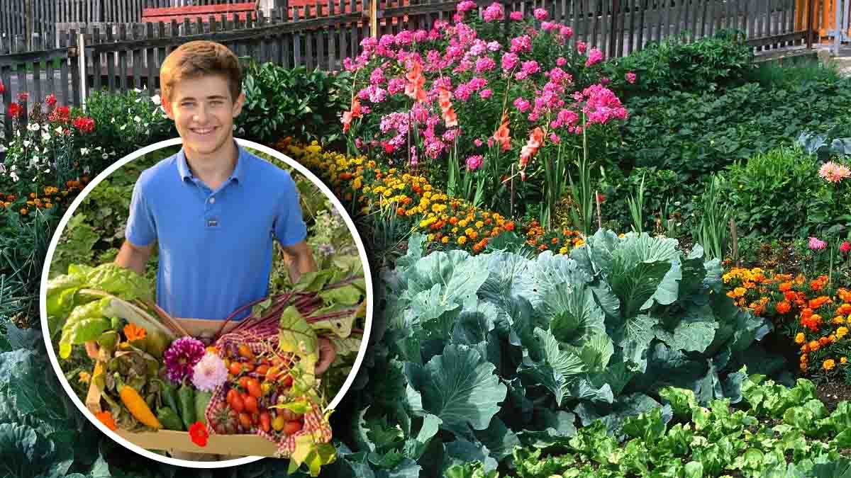 Huerto: ésta es la fórmula milagrosa para tener hortalizas sanas en tu huerto