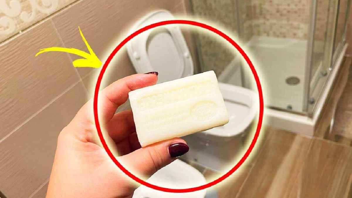 Para un baño impecablemente limpio, ¡utiliza este increíble producto!