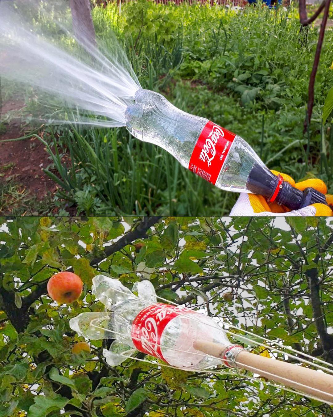 Cómo Reutilizar Inteligentemente Botellas de Plástico