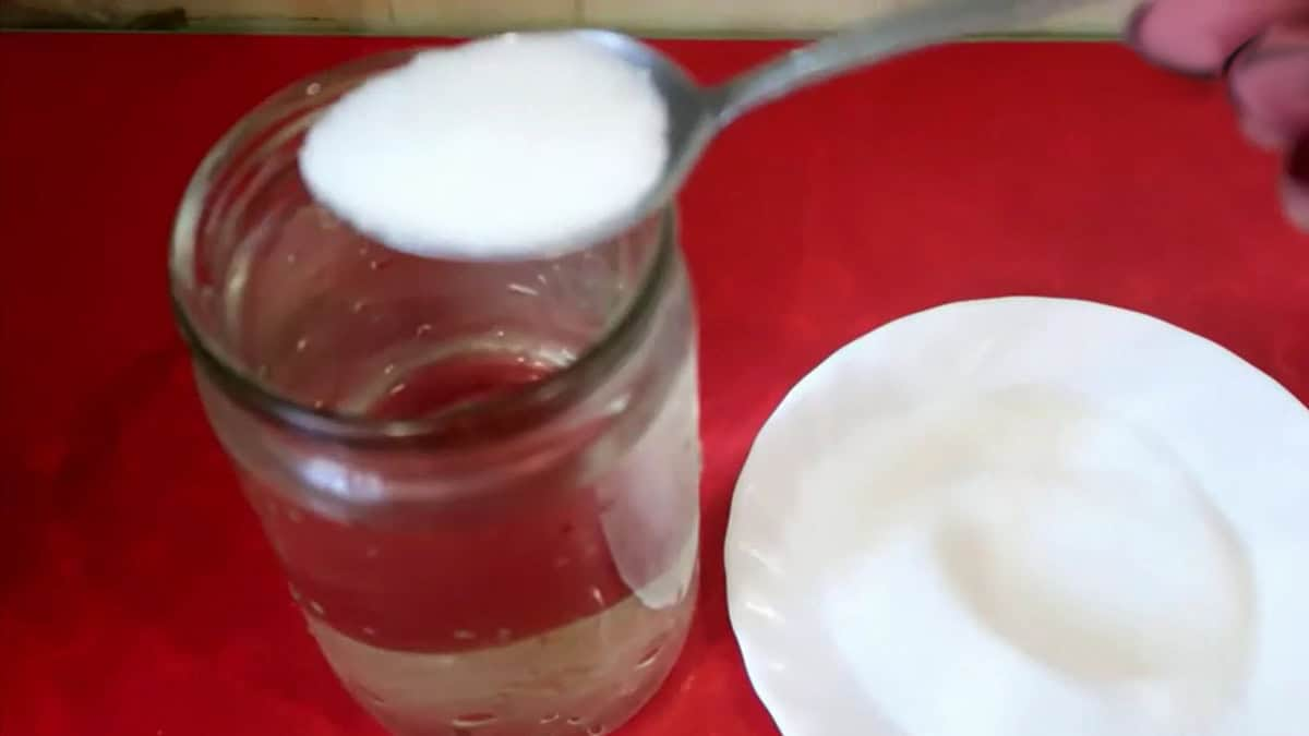 Abono natural casero: guía práctica para nutrir tus plantas y tu huerto