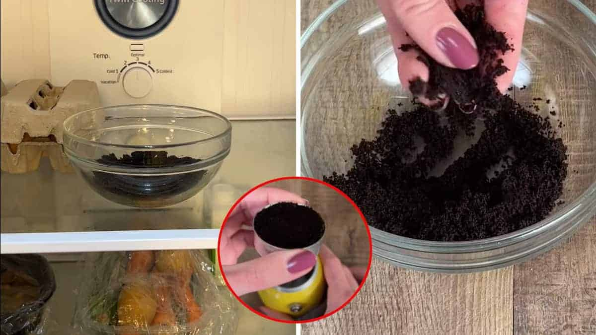 Posos de café: 3 ideas creativas para un segundo uso