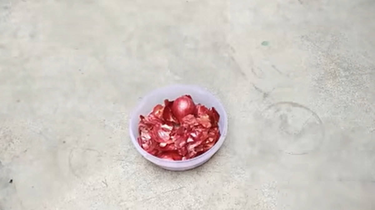 Así se utiliza la cebolla y la cáscara en jardinería: sus beneficios insospechados