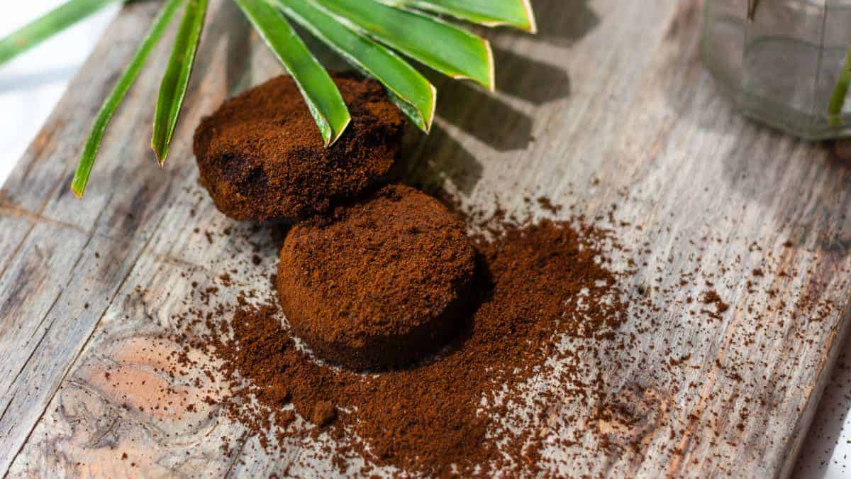 Posos de café: colocados en un punto concreto de la casa, solucionan un problema importante