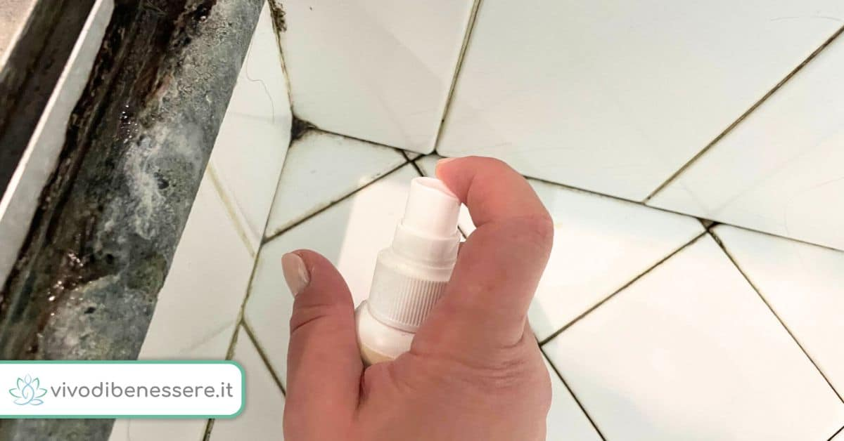 Cómo quitar el moho de la silicona de la ducha
