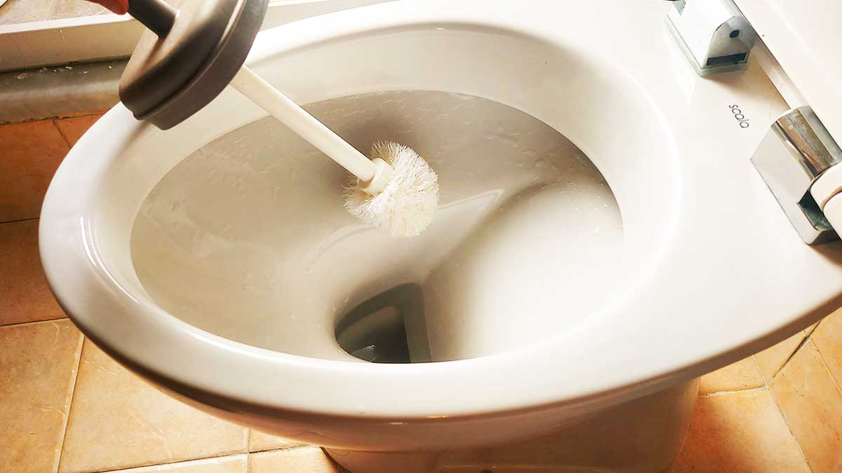 Cómo limpiar la escobilla del baño